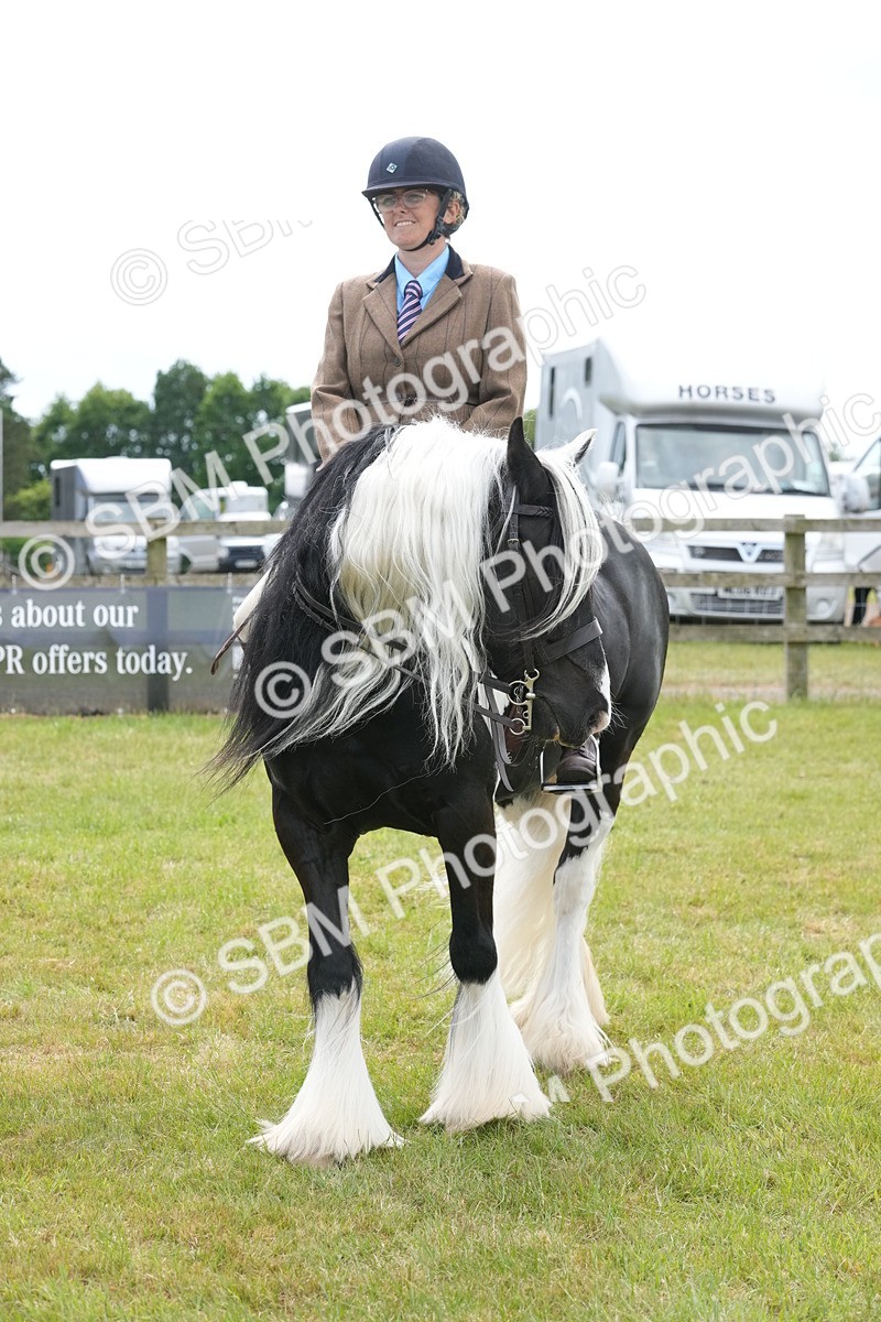 SBM_17332 - Class 107-108 - LIHS BSPS Performance Coloured Horse Pony