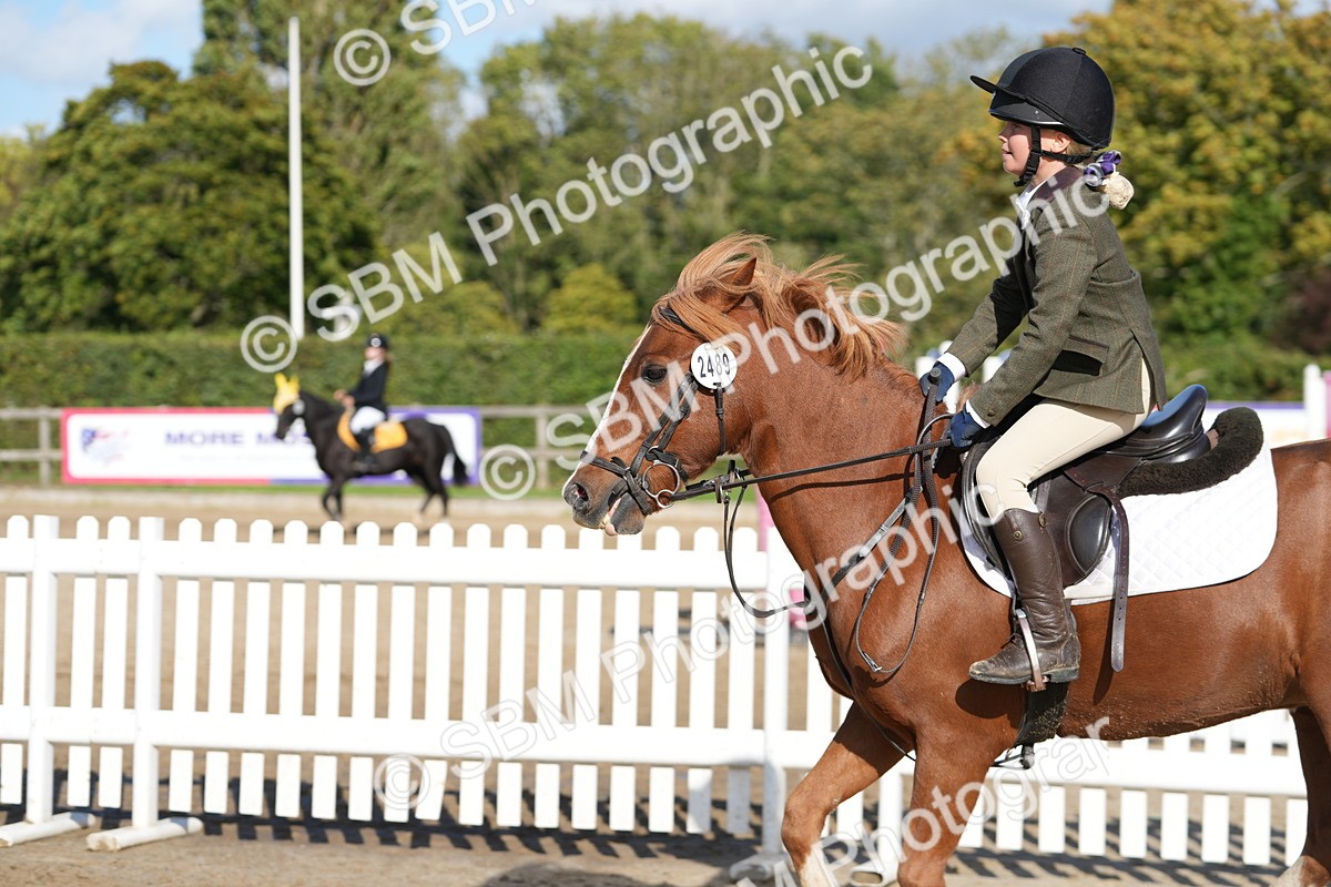 SBM_49375 - J8 - Junior Pony 65cm Championship