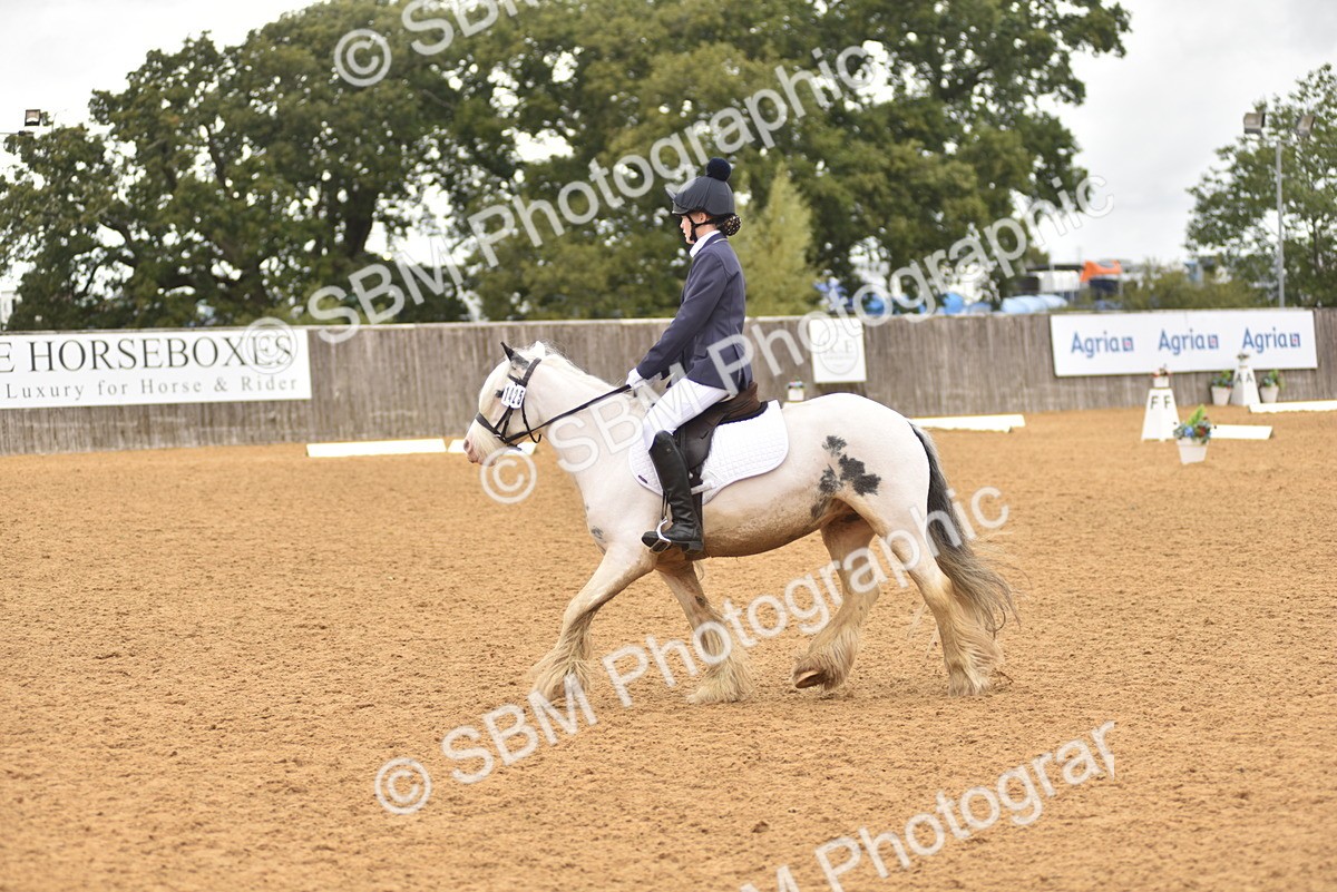 SBM_42352 - D22 - Junior Championship Intro 3