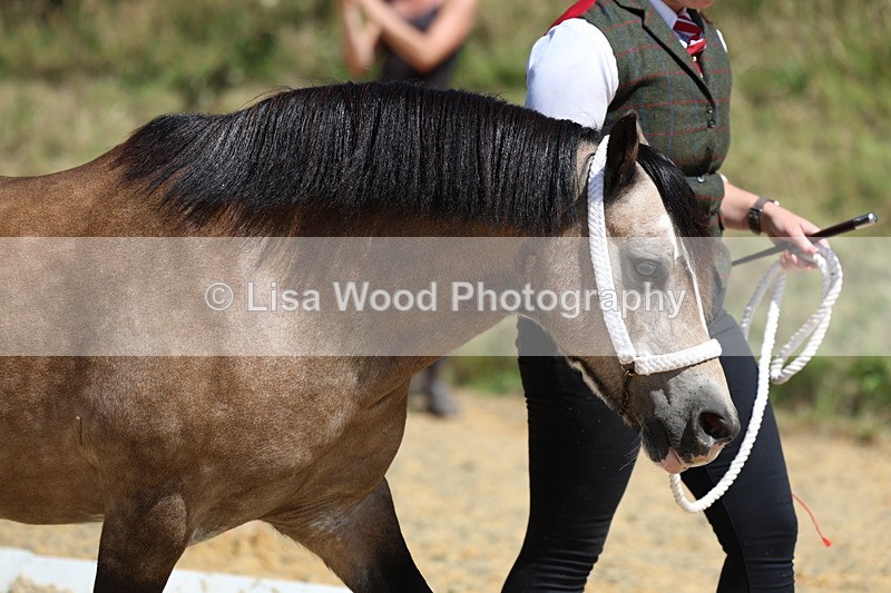 3E7A9617 - Class 32: Best Grass Kept