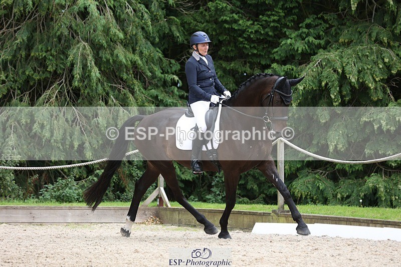 230812-152358-05128 - Cls 5 Novice Bronze 15.00 to End