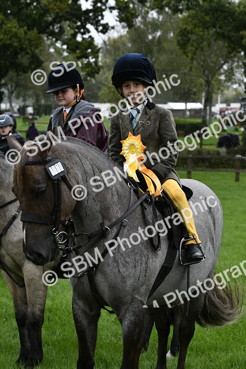 SBM_35608 - S30 - Nursery Stakes Working Hunter Pony