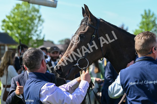 140525-Race 4-Whirl-2522 - Race 4 3.45pm Tattersalls Musidora Stakes