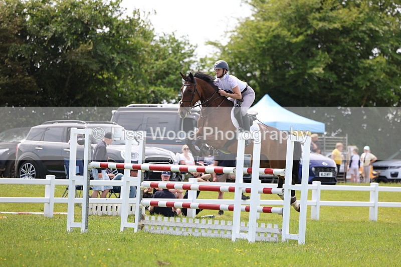 3E7A1415 - Class 12: Senior Foxhunter/1.20 open