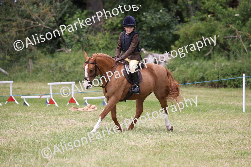20260614-2894 - Class 22 - Open Working Hunter