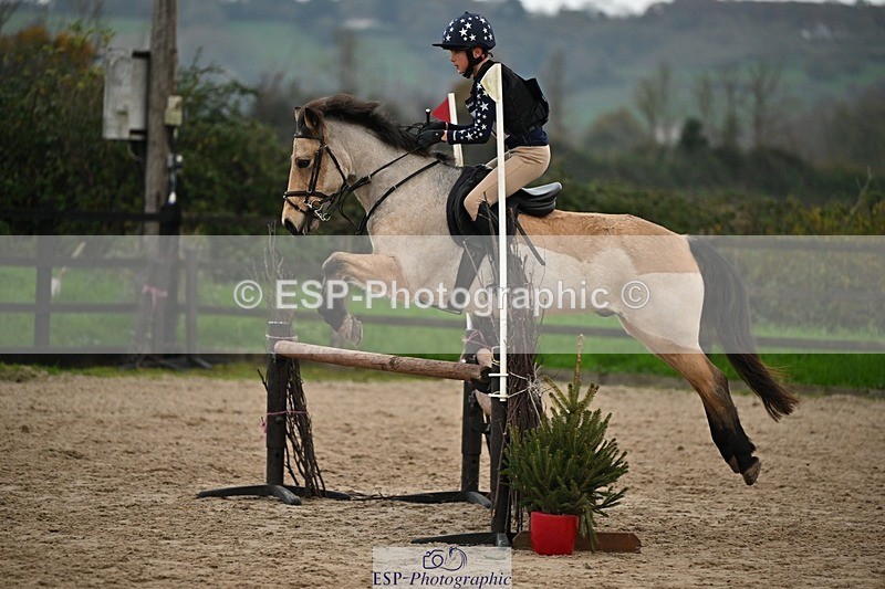241110-155250-01335 - 80-85cm Arena Eventing