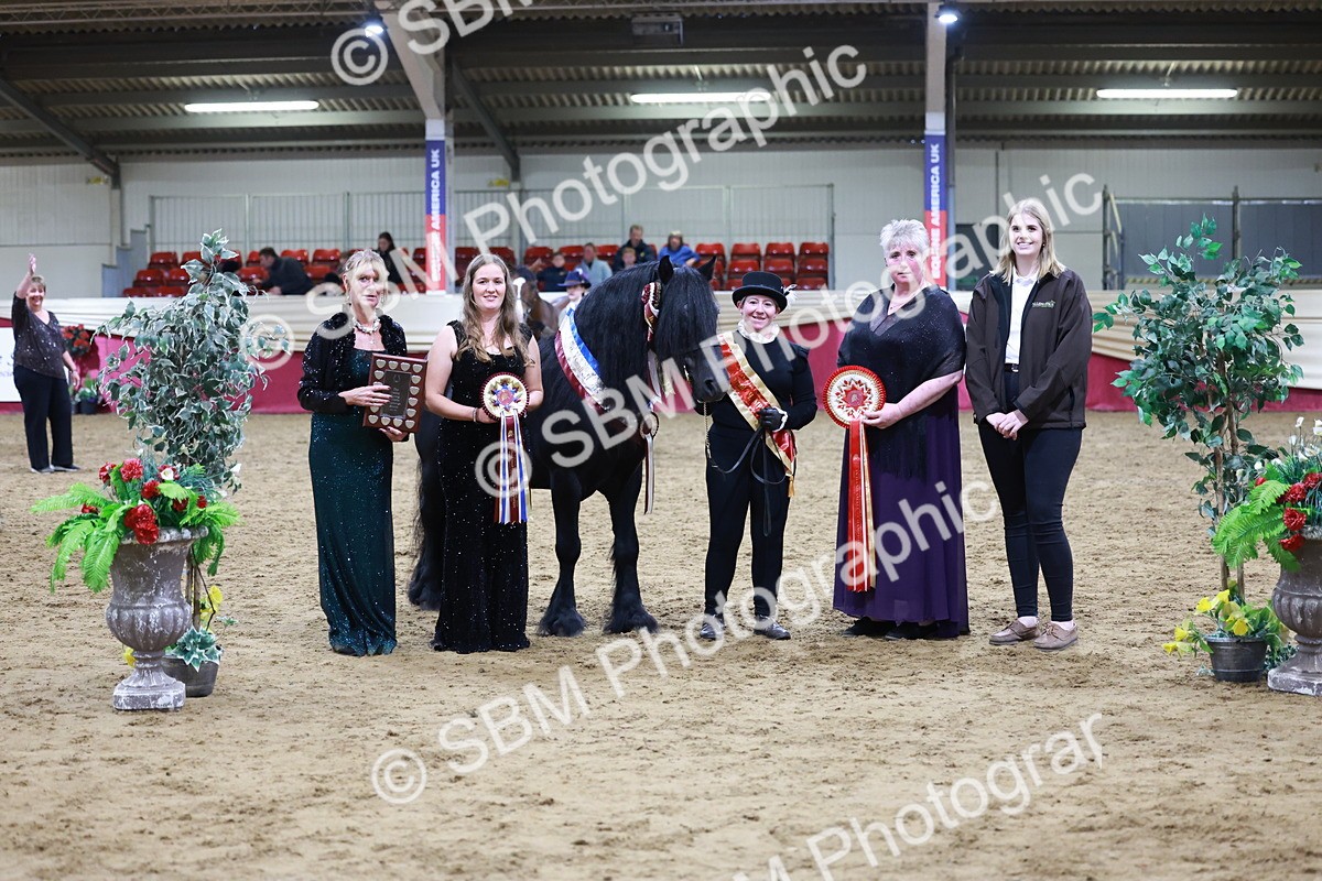 SBM_20428 - Class F - IH Small (148cm & Under)Champ