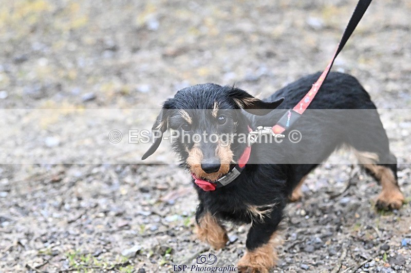 241206-144234-01129 - Naomi