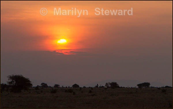 Sun-set - Kenya, Tsavo East
