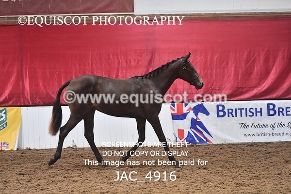 JAC_4916 - 4 River Dance, Take A Chance