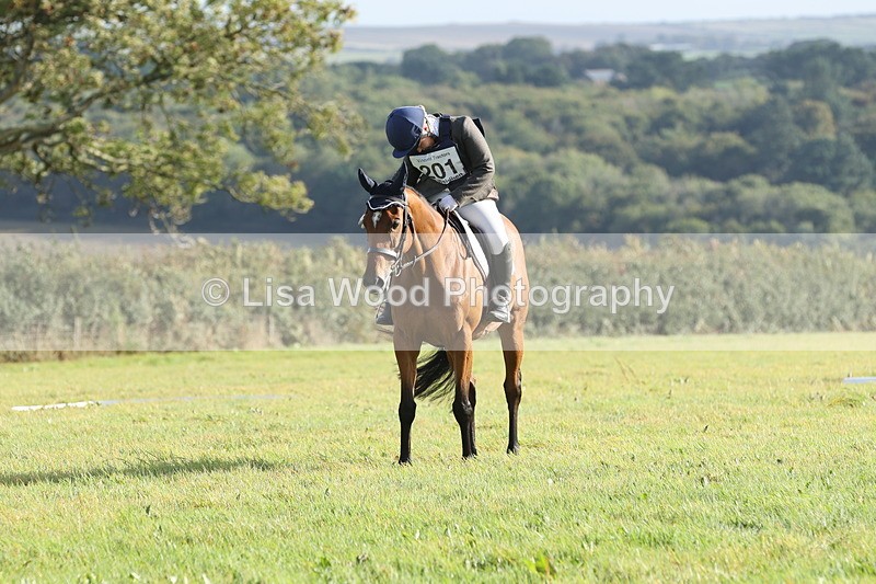JPP_7837 - Class 2A: Trekenning Open: Dressage