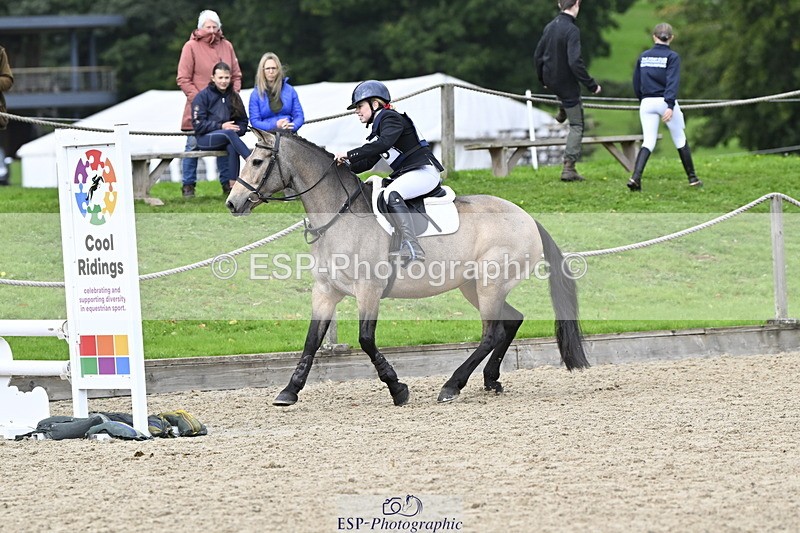 251005A-122445-03764 - Cls 08 Mini 70-75cm