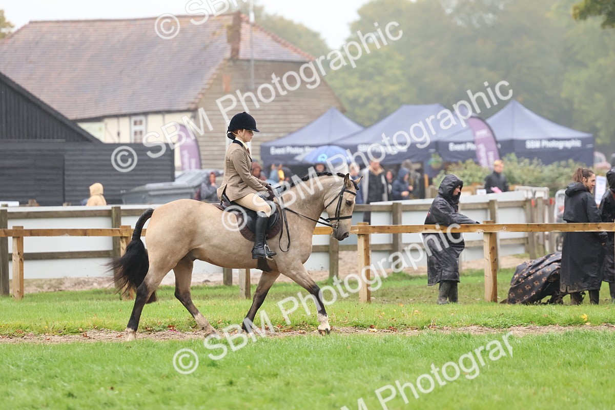 SBM_73055 - S63 Show Pony & Show Hunter Pony Ridden