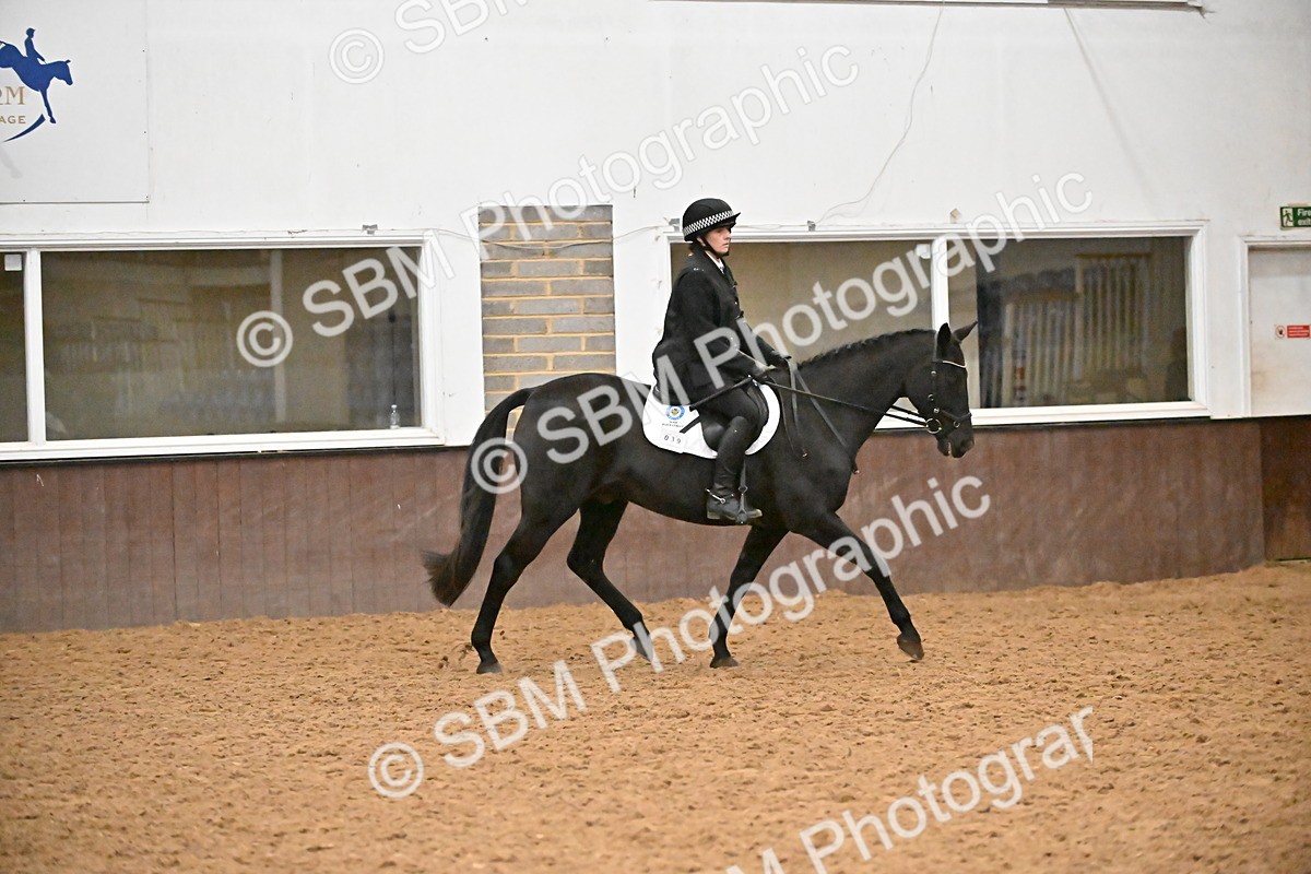 SBM_002980 - Class 37,38 - UKPSAF Performance Horse & Pony