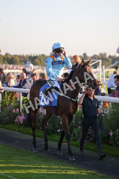 yr08102021r7-9 - Race 7 5.25pm The IRE Incentive, It Pays To Buy Irish Handicap