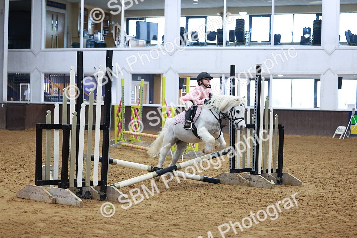 SBM_000277 - Class 19 - 50cm