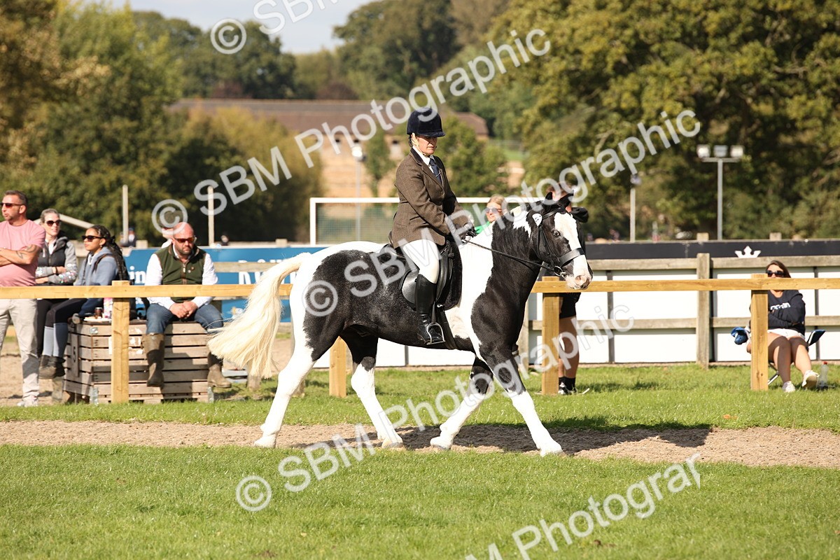 SBM_50073 - S26 - Young Veteran - Ridden