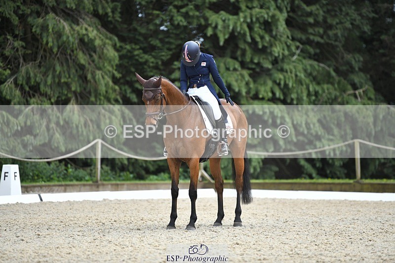 230525-143932-03157 - 322-CHANSON_DU_VILLAGE-Phoebe_Locke-WEDTrotUp+DR