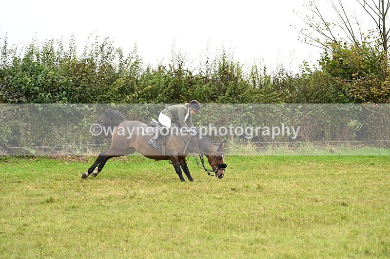 WJ7_4270 - Camera 1 Line 2