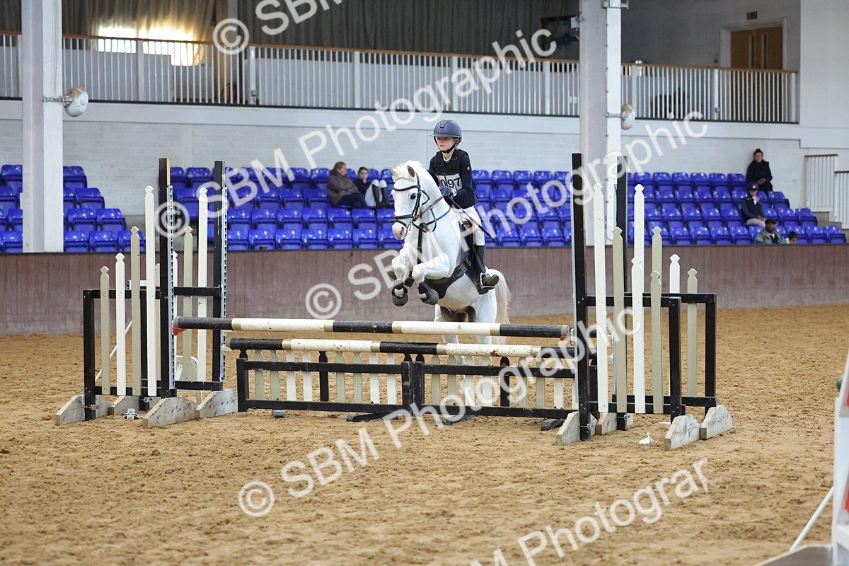 SBM_002058 - Class 5 - Show Jumping 80cm