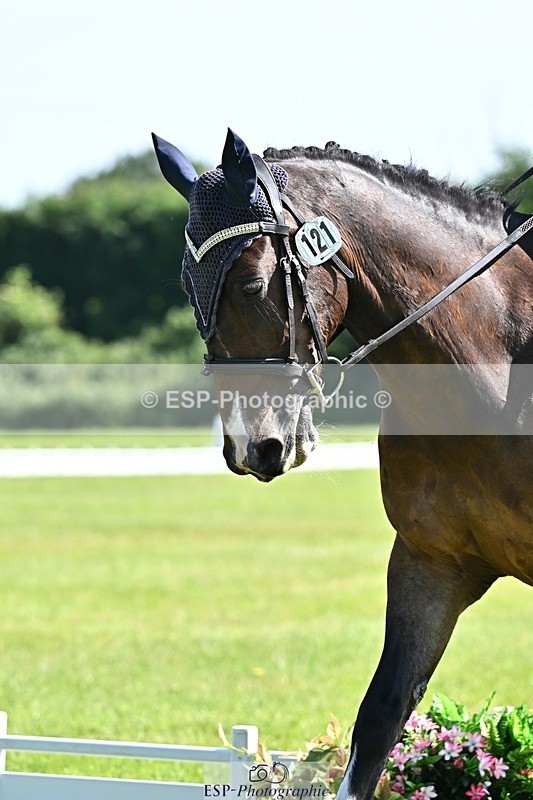 260529A-162109-11654 - A-121-Caoimhe.Chambers