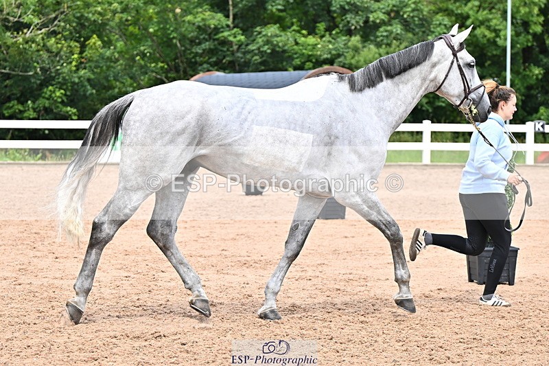 240718A-105323-01926 - Trot Up 2pm to 3pm - This folder is not in time order