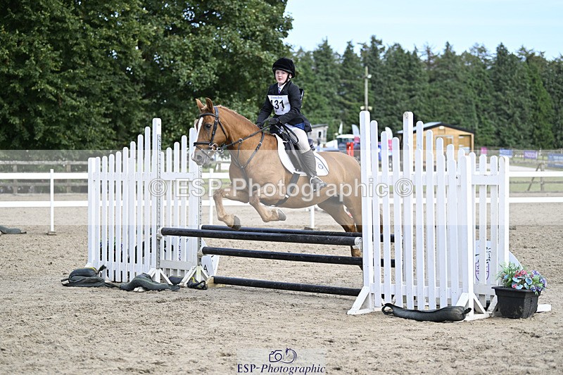 240823X-161155-19090 - 70cm R2 15.20 to 16.40