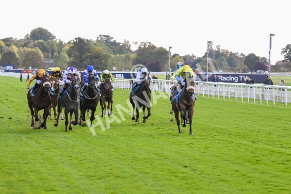 111024-Race 4-End Of Story-1770 - Race 4 3.10pm Parsonage Hotel And Cloisters Spa Nursery Handicap