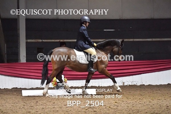 BPP_2504 - 31 - E CLARKSTON