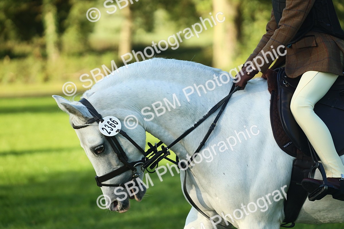 SBM_31964 - S28 - Nursery Stakes Working Hunter Pony