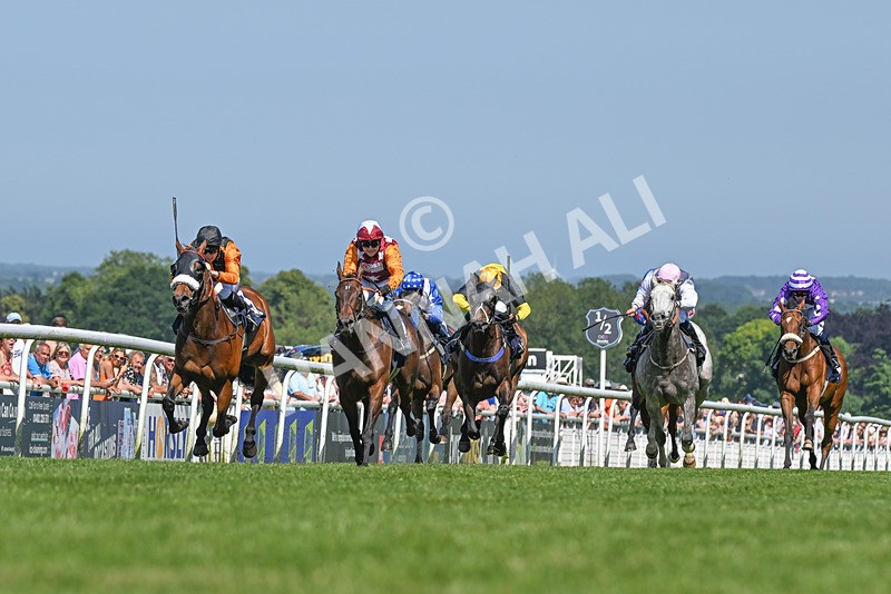 250624-Race 4-Lincoln Rockstar-9148 - Race 4