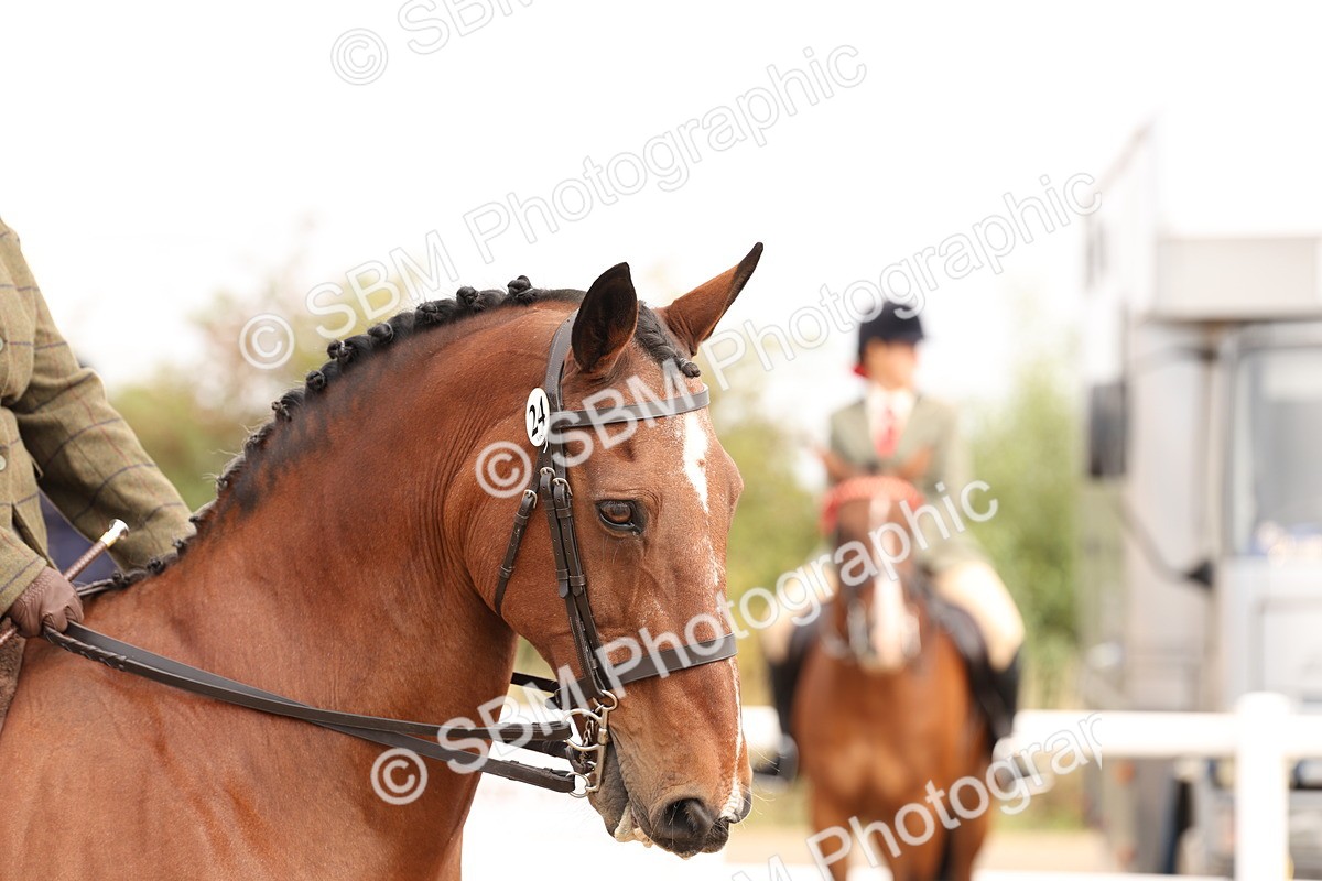 SBM_01600 - Class 52 - Ridden Veteran
