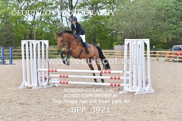 BPP_3921 - CLASS 2  Club/ Unaffiliated 80cms Open