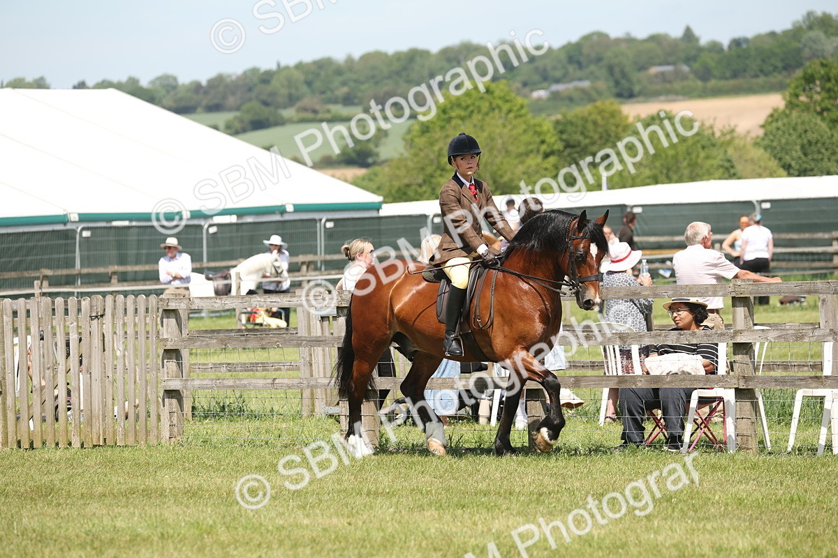 SBM_06885 - Class 26-30 - Mountain and Moorland Ridden