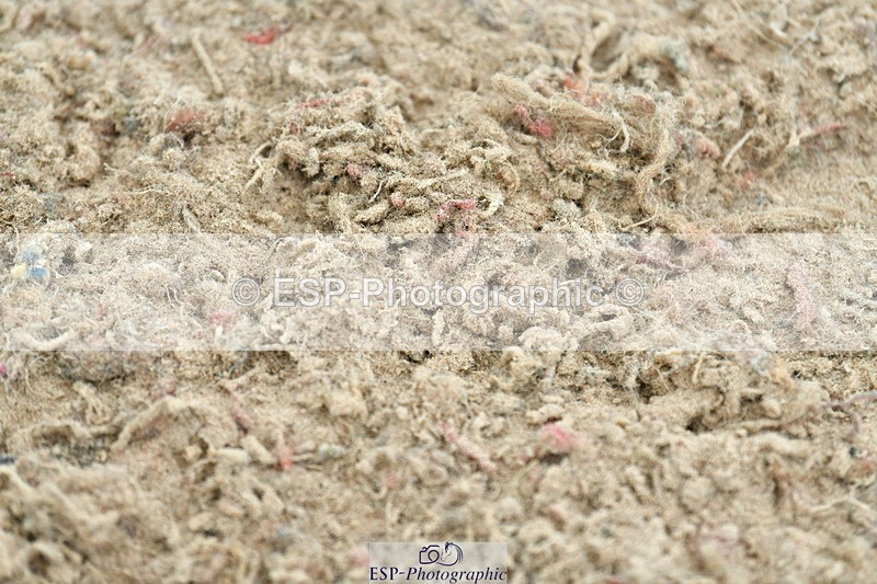 230721A-132906-06561 - Cls 14, 1 Star Bronze 1.10m