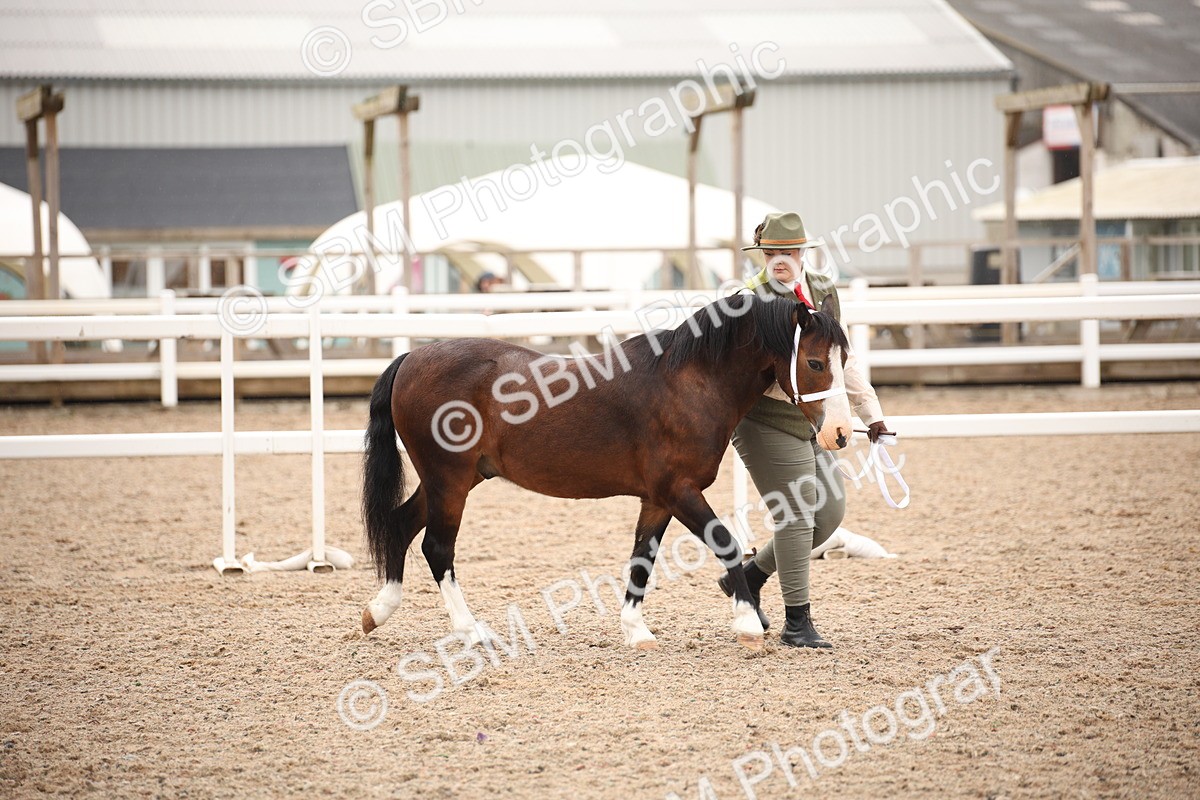 SBM_19304 - Class 701 - Best Turned Out IH & Ridden