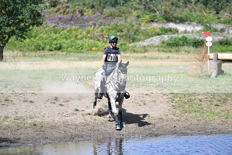 WJ5_2369 - XC Time 11:17 to 11:50