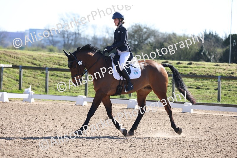 20260318-0455 - Class 5 - Novice 2