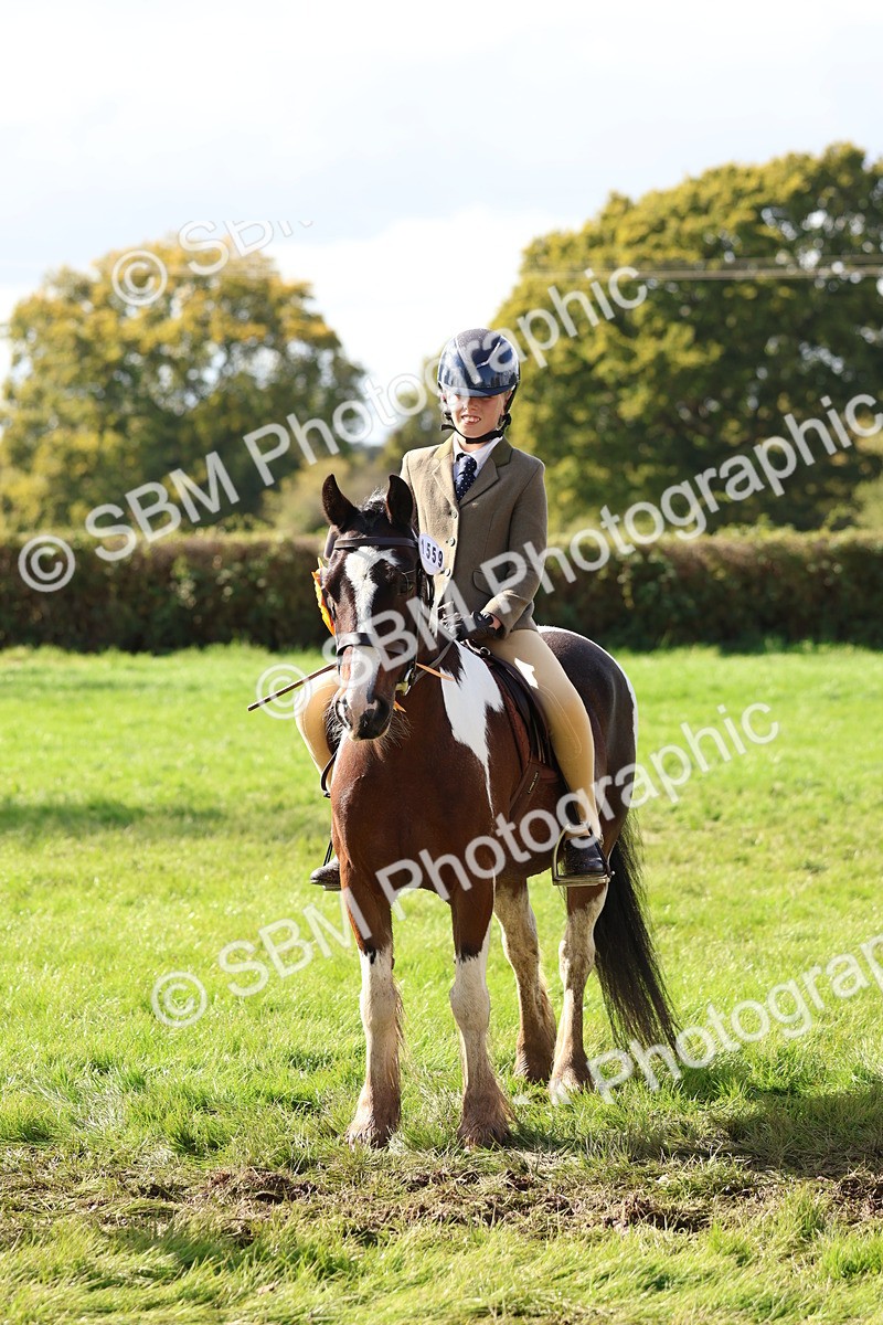 SBM_45327 - S27 - Young Veteran Ridden