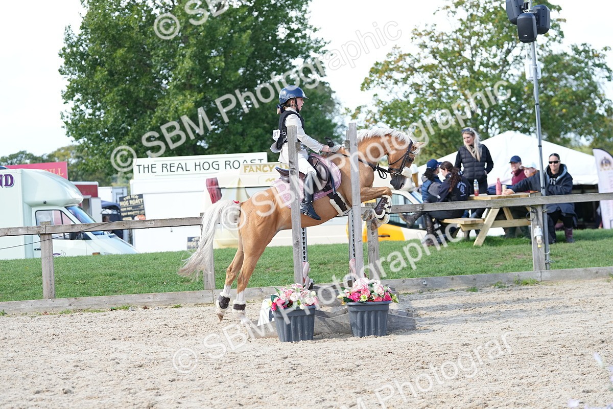 SBM_18163 - J58 - Clear Round 50cm