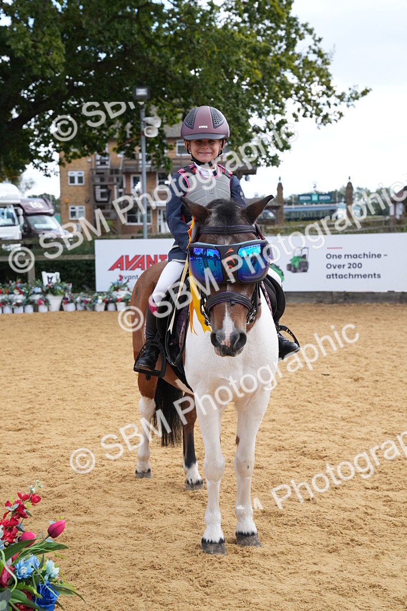 SBM_64562 - J2 - Mini Tour Junior Pony 30cm Championship