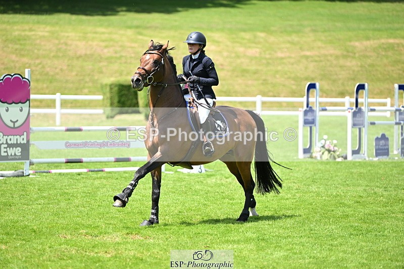 250614A-133010-06865 - Cls 20 Foxhunter