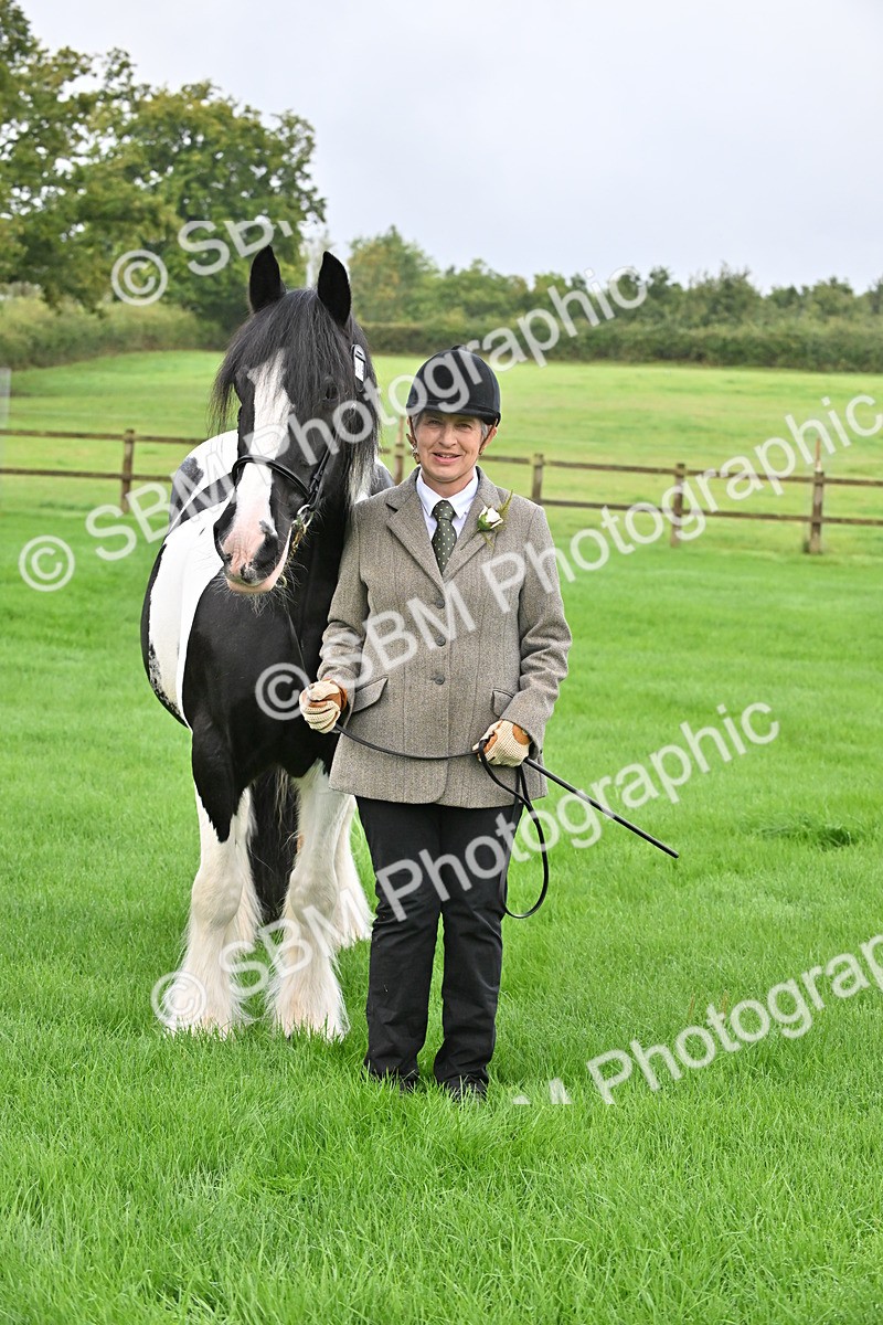 SBM_32643 - S15 - Top Turnout In Hand