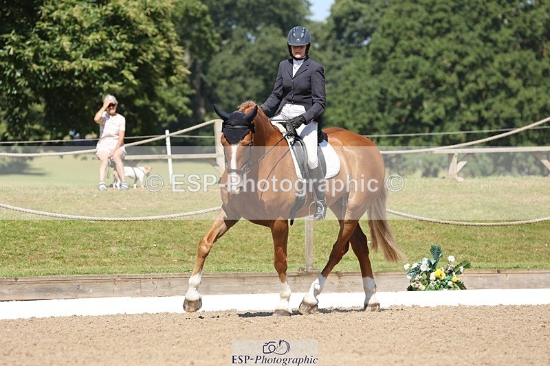 240719-103938-00761 - 223-Deborah_Randall-Sandy's_Bertie