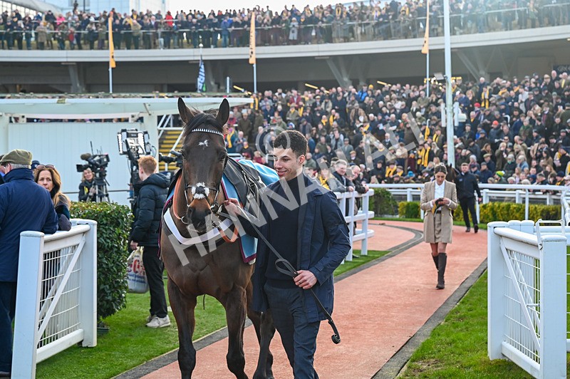 250125-Race 5-Constitution Hill-3519 - Race 5