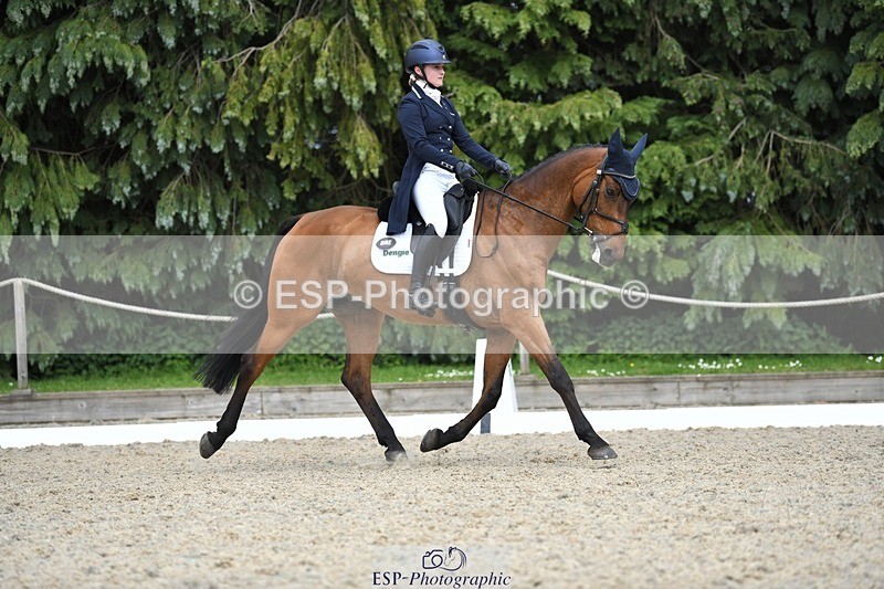 230525-154448-03302 - 329-VINTAGE_GRAFFITI-Alice_Hallows-WEDTrotUp+DR