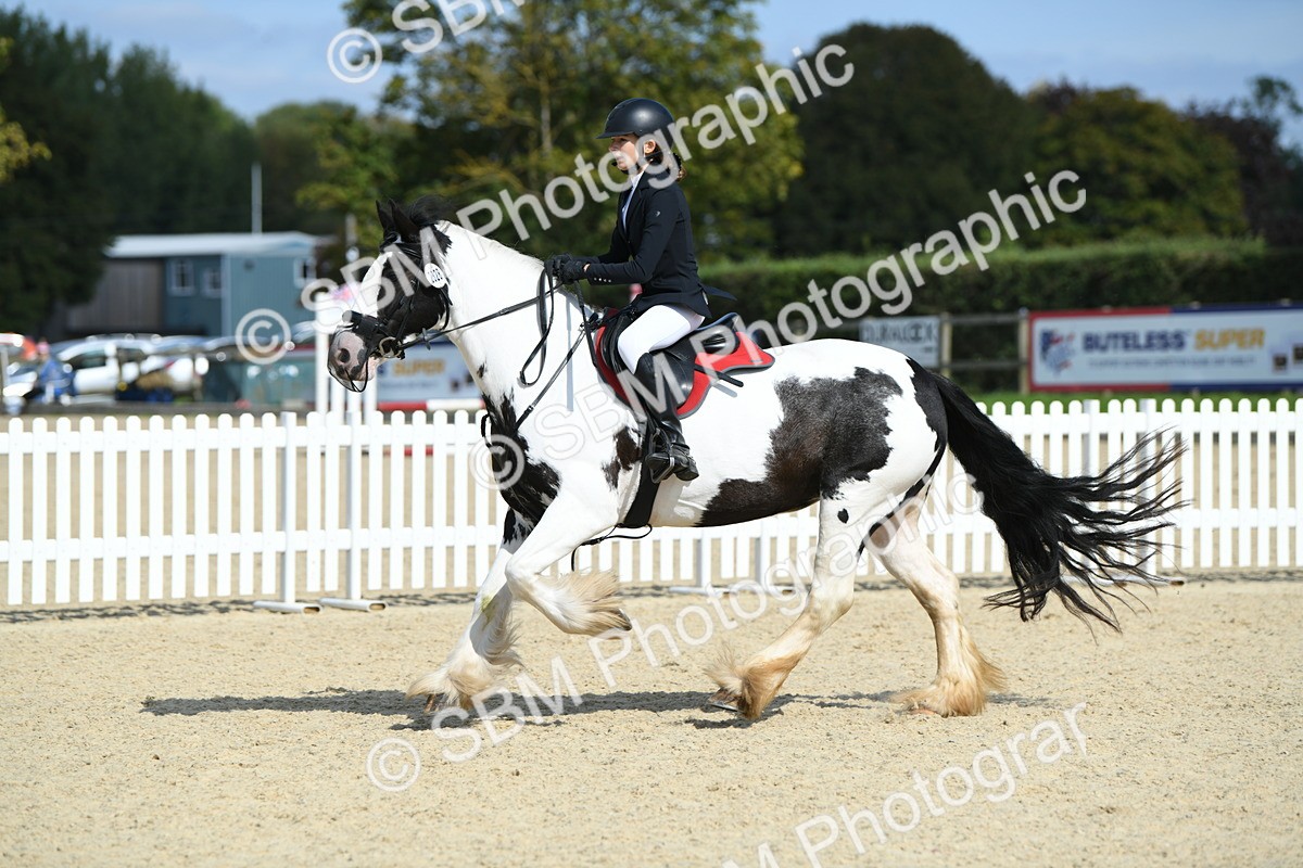 SBM_64802 - J48 - Pairs Jumping Open 70cm & 85cm