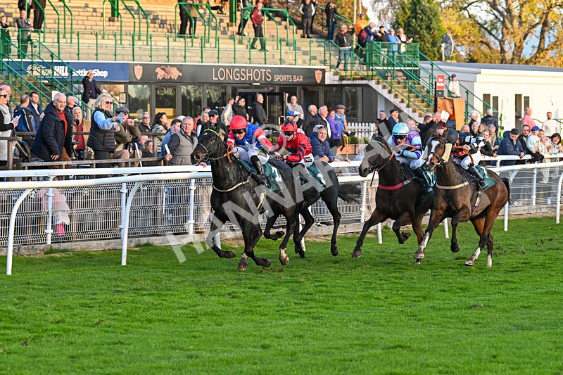 291024-Race 7-Crocodile Power-6475 - Race 7