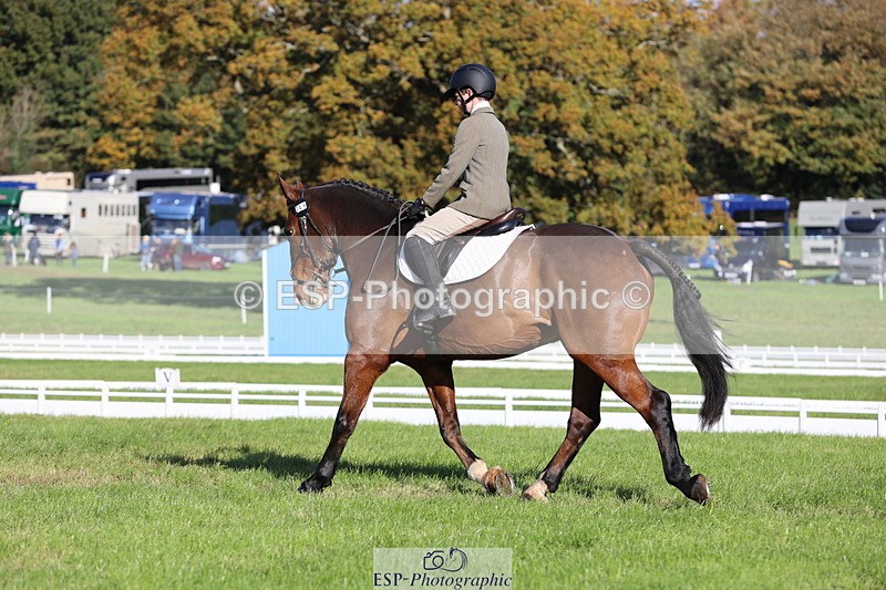 251024A-111848-09942 - D-351-Thomas.Harris