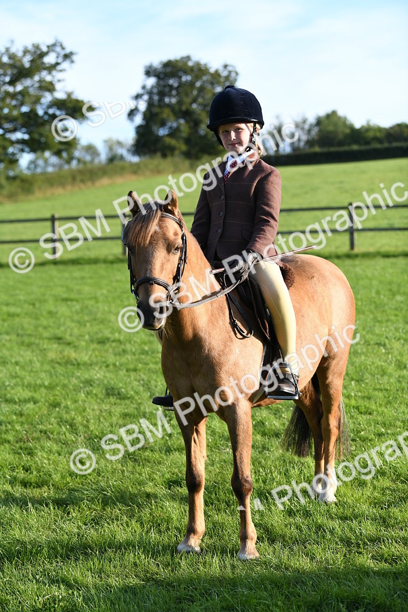 SBM_54118 - S23 - 1st Ridden Mountain & Moorland Pony
